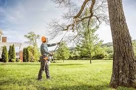 Trusted South Burlington, VT  Tree Services Experts